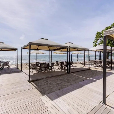 Effect Algara Kranewo