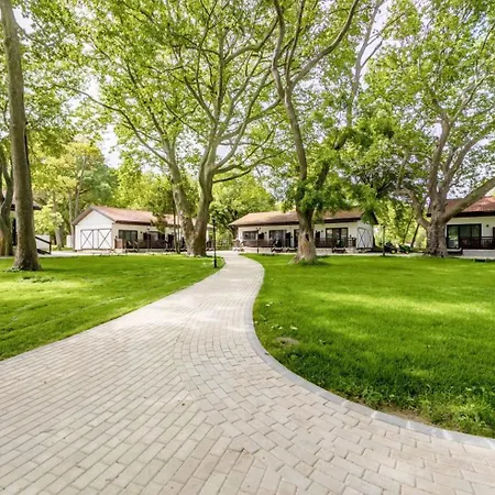 Effect Algara Хотел 4*