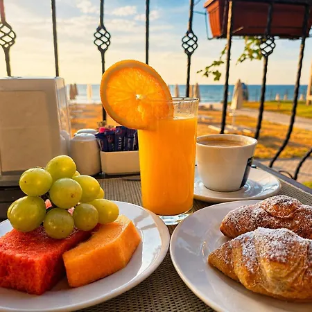 Hotel Effect Algara