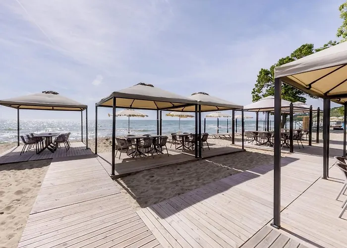 Effect Algara Kranewo