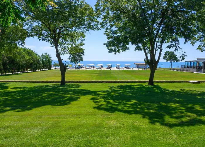 Hotel Effect Algara 4*