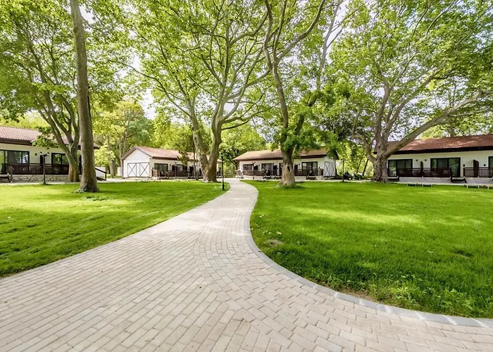 Effect Algara Hotel 4*